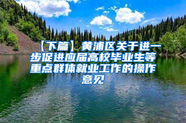 【下篇】黄浦区关于进一步促进应届高校毕业生等重点群体就业工作的操作意见