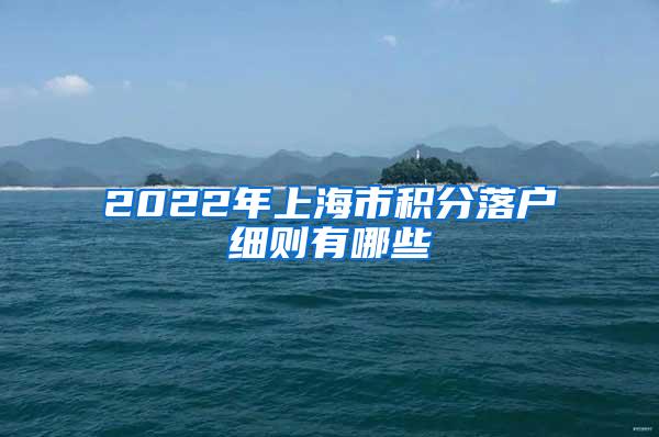 2022年上海市积分落户细则有哪些