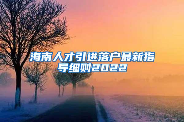 海南人才引进落户最新指导细则2022