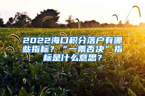 2022海口积分落户有哪些指标？“一票否决”指标是什么意思？