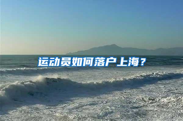 运动员如何落户上海？