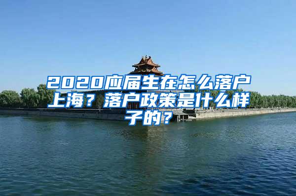 2020应届生在怎么落户上海？落户政策是什么样子的？