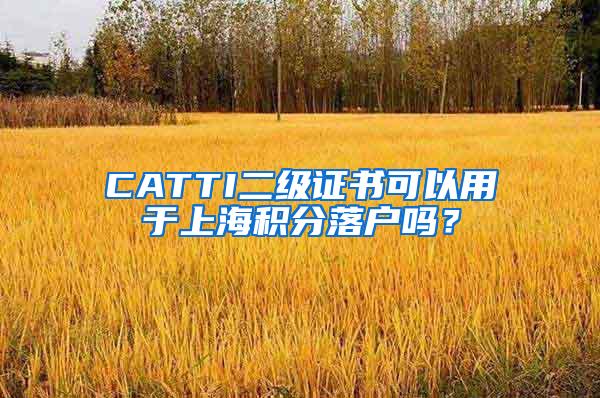 CATTI二级证书可以用于上海积分落户吗？