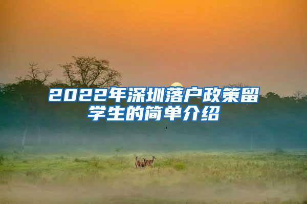 2022年深圳落户政策留学生的简单介绍