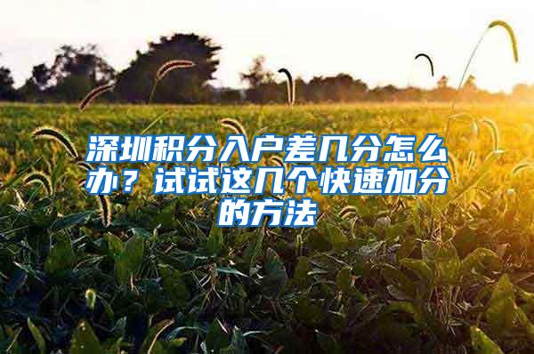 深圳积分入户差几分怎么办？试试这几个快速加分的方法