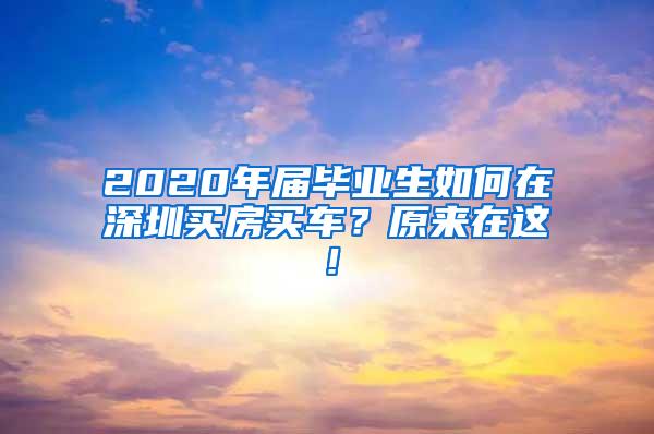 2020年届毕业生如何在深圳买房买车？原来在这！