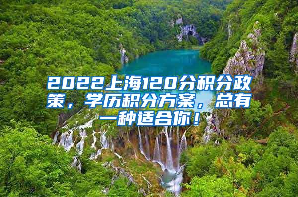 2022上海120分积分政策，学历积分方案，总有一种适合你！