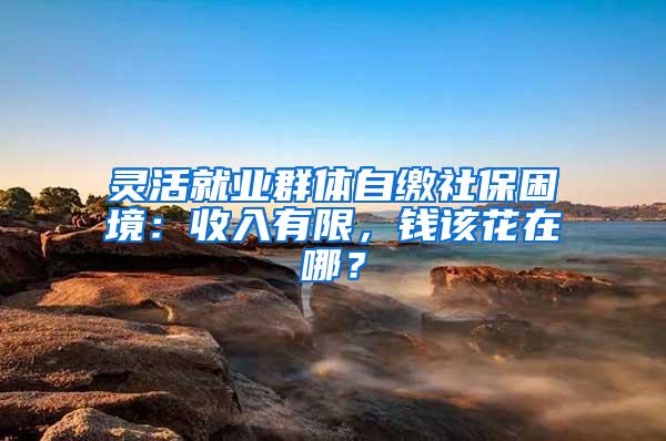 灵活就业群体自缴社保困境：收入有限，钱该花在哪？