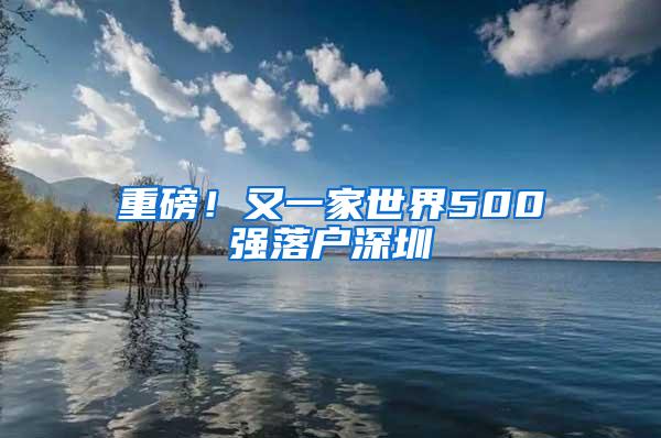 重磅！又一家世界500强落户深圳