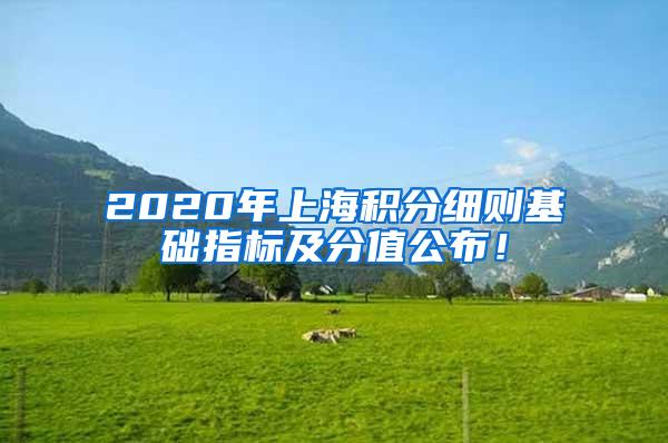 2020年上海积分细则基础指标及分值公布！