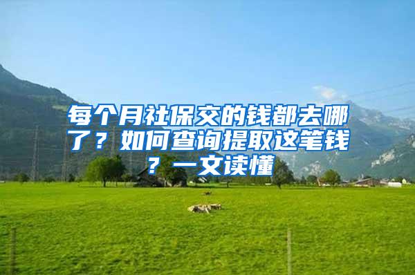 每个月社保交的钱都去哪了？如何查询提取这笔钱？一文读懂