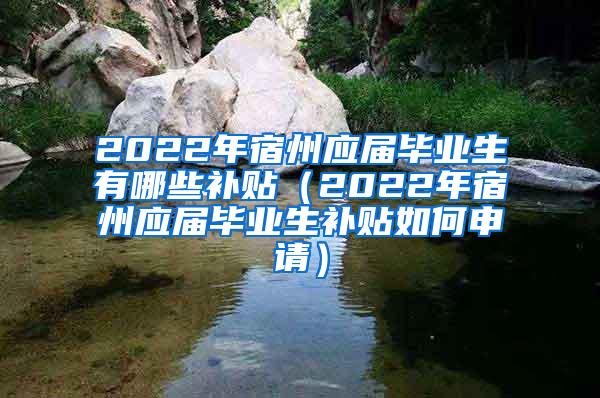 2022年宿州应届毕业生有哪些补贴（2022年宿州应届毕业生补贴如何申请）