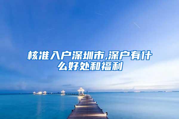 核准入户深圳市,深户有什么好处和福利