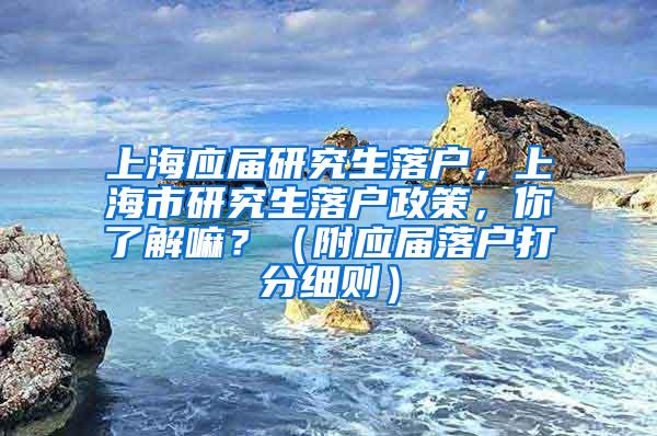 上海应届研究生落户，上海市研究生落户政策，你了解嘛？（附应届落户打分细则）