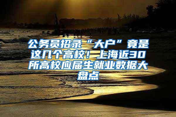 公务员招录“大户”竟是这几个高校！上海近30所高校应届生就业数据大盘点