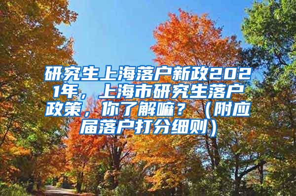 研究生上海落户新政2021年，上海市研究生落户政策，你了解嘛？（附应届落户打分细则）