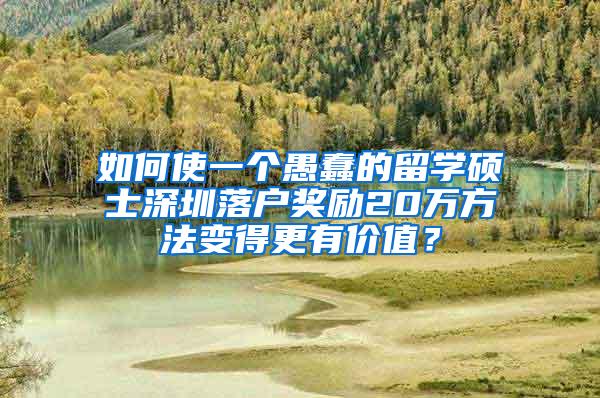 如何使一个愚蠢的留学硕士深圳落户奖励20万方法变得更有价值？