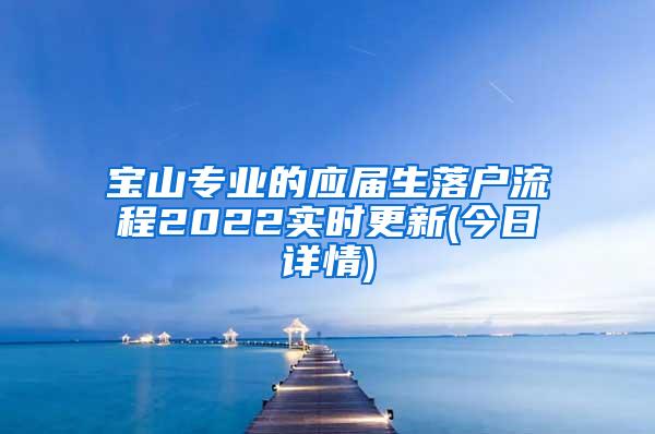 宝山专业的应届生落户流程2022实时更新(今日详情)