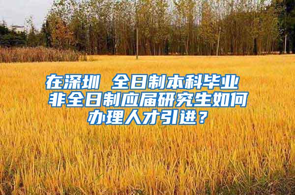 在深圳 全日制本科毕业 非全日制应届研究生如何办理人才引进？