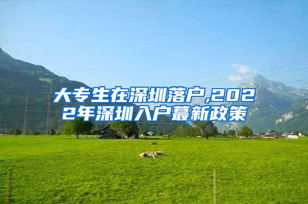 大专生在深圳落户,2022年深圳入户蕞新政策