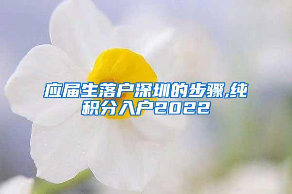 应届生落户深圳的步骤,纯积分入户2022