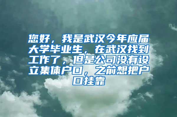 您好，我是武汉今年应届大学毕业生，在武汉找到工作了，但是公司没有设立集体户口，之前想把户口挂靠