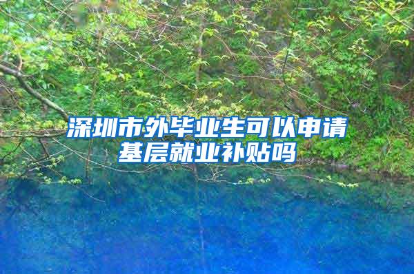 深圳市外毕业生可以申请基层就业补贴吗