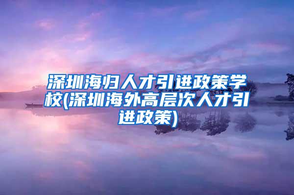 深圳海归人才引进政策学校(深圳海外高层次人才引进政策)