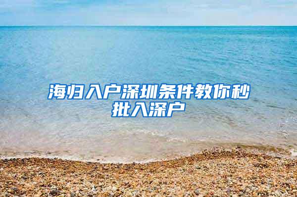 海归入户深圳条件教你秒批入深户