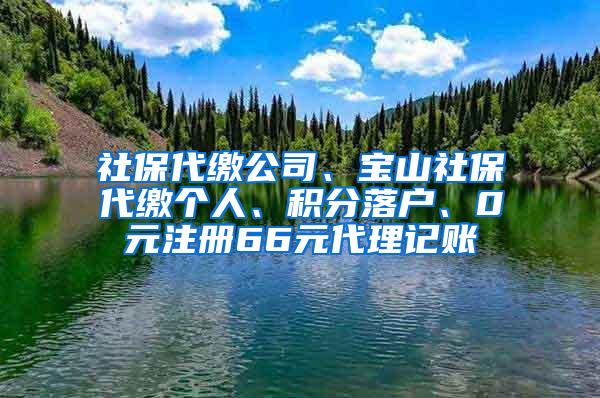 社保代缴公司、宝山社保代缴个人、积分落户、0元注册66元代理记账