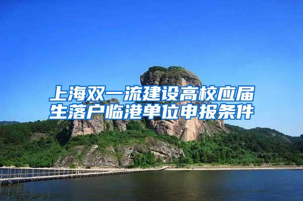 上海双一流建设高校应届生落户临港单位申报条件