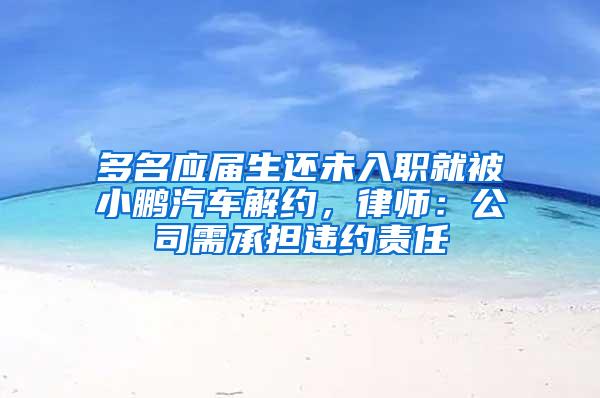 多名应届生还未入职就被小鹏汽车解约，律师：公司需承担违约责任