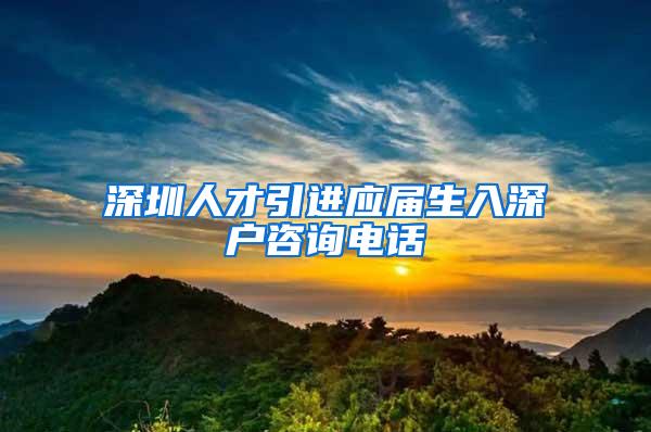 深圳人才引进应届生入深户咨询电话