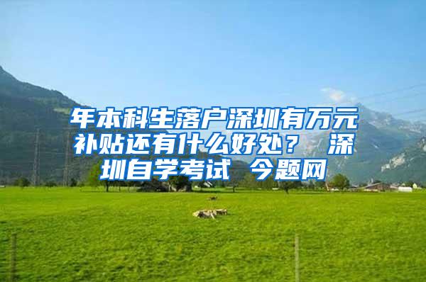 年本科生落户深圳有万元补贴还有什么好处？ 深圳自学考试 今题网