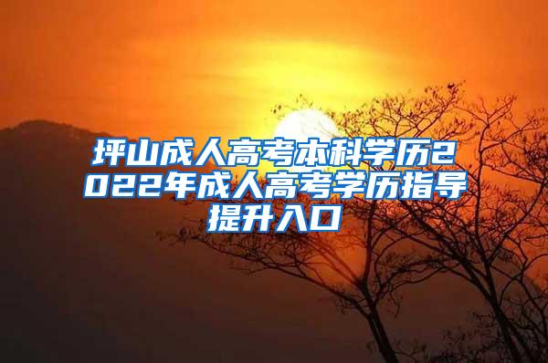 坪山成人高考本科学历2022年成人高考学历指导提升入口