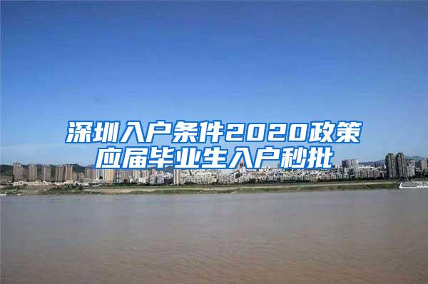 深圳入户条件2020政策应届毕业生入户秒批