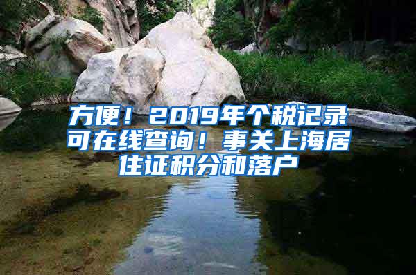 方便！2019年个税记录可在线查询！事关上海居住证积分和落户