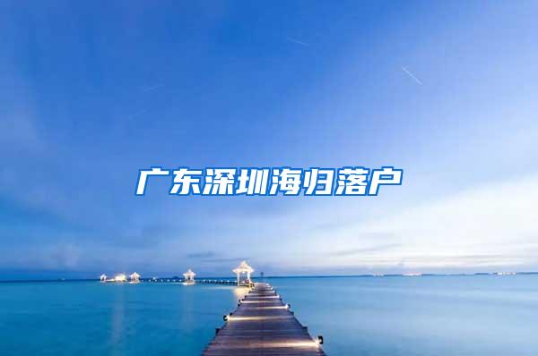 广东深圳海归落户