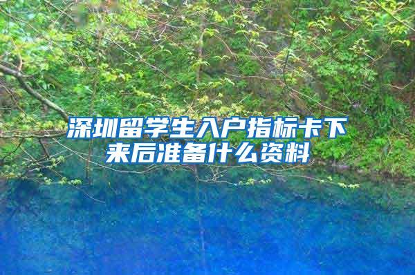 深圳留学生入户指标卡下来后准备什么资料