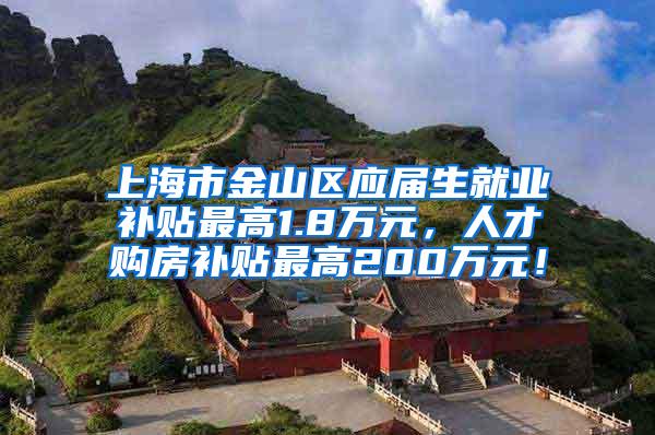 上海市金山区应届生就业补贴最高1.8万元，人才购房补贴最高200万元！