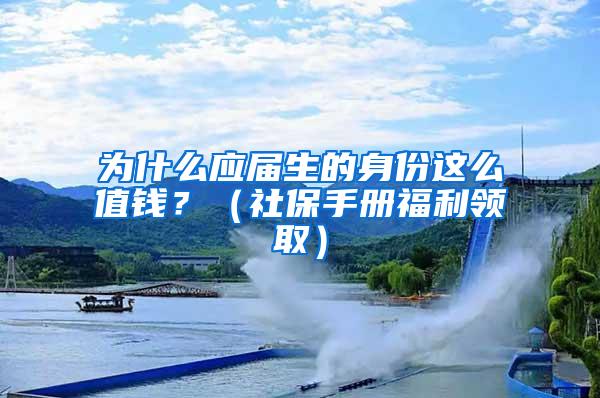 为什么应届生的身份这么值钱？（社保手册福利领取）