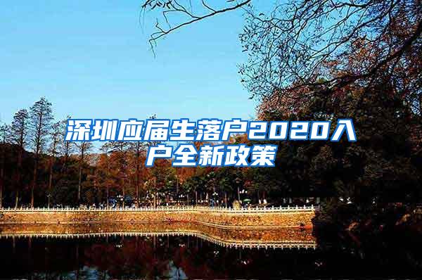 深圳应届生落户2020入户全新政策