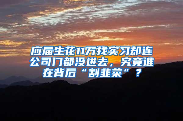 应届生花11万找实习却连公司门都没进去，究竟谁在背后“割韭菜”？