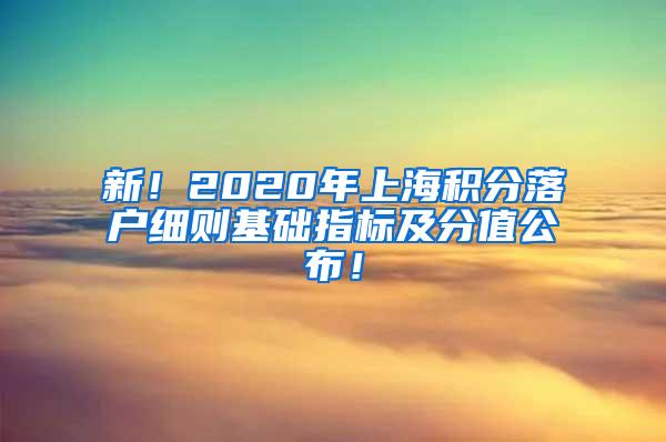 新！2020年上海积分落户细则基础指标及分值公布！