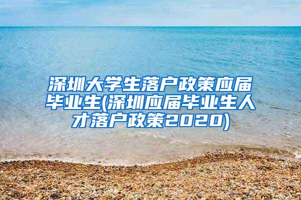 深圳大学生落户政策应届毕业生(深圳应届毕业生人才落户政策2020)