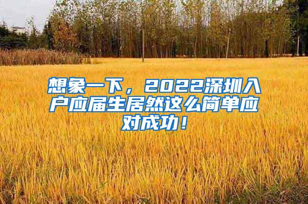 想象一下，2022深圳入户应届生居然这么简单应对成功！