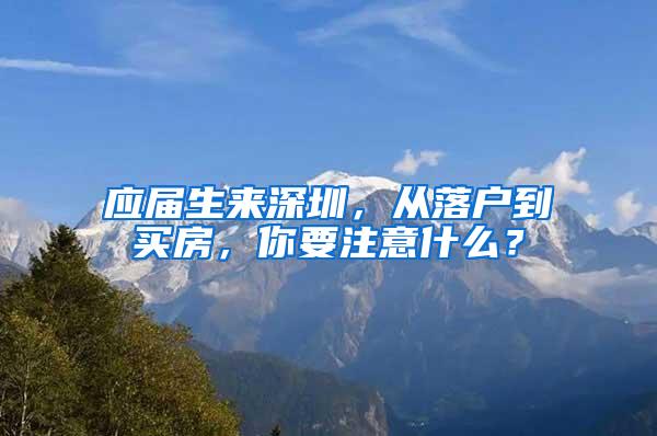 应届生来深圳，从落户到买房，你要注意什么？