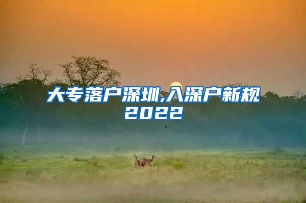 大专落户深圳,入深户新规2022