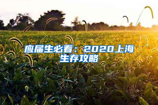 应届生必看：2020上海生存攻略