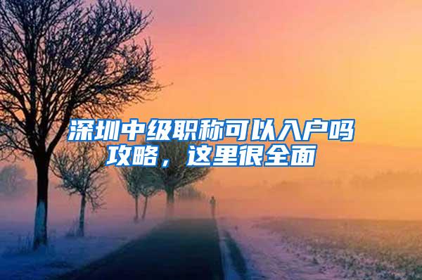 深圳中级职称可以入户吗攻略，这里很全面